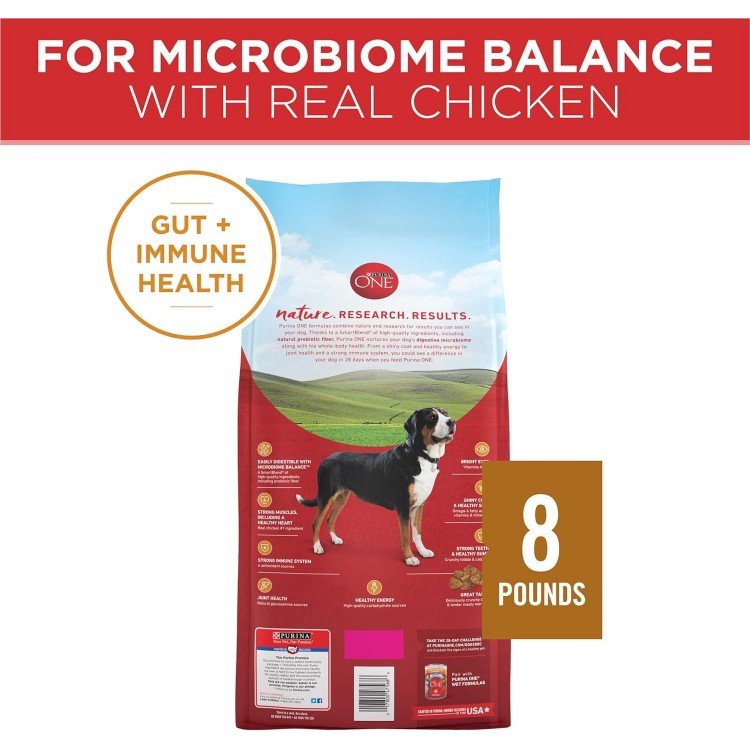 Purina ONE Chicken and Rice Formula Dry Dog Food - 40 lb. Bag