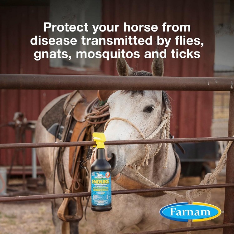 Farnam Endure Sweat-Resistant Horse Fly Spray, Kills, Repels, Protects, 32 Ounces, Quart Spray