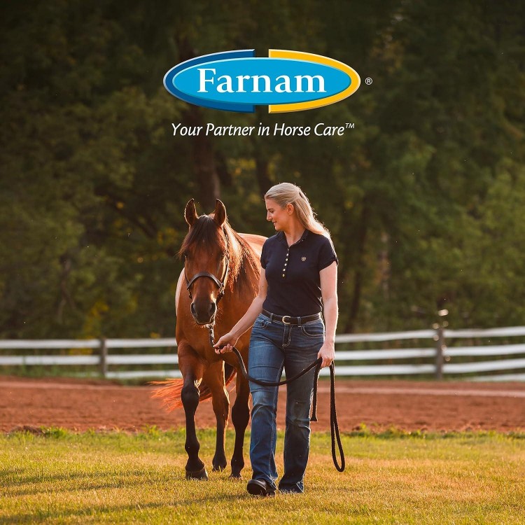 Farnam Endure Sweat-Resistant Horse Fly Spray, Kills, Repels, Protects, 32 Ounces, Quart Spray