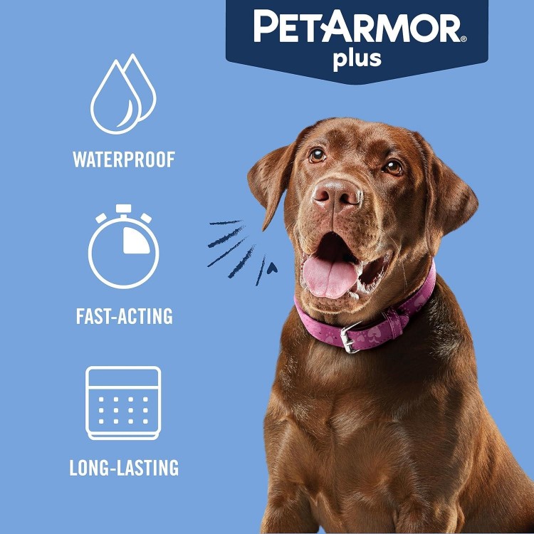 PetArmor Plus Flea and Tick Prevention for Dogs, Dog Flea and Tick Treatment, 6 Doses, Waterproof Topical, Fast Acting, Large Dogs Dogs (45-88 lbs)