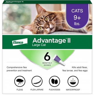 Advantage II Large Cat Vet-Recommended Flea Treatment & Prevention | Cats Over 9 lbs. | 6-Month Supply