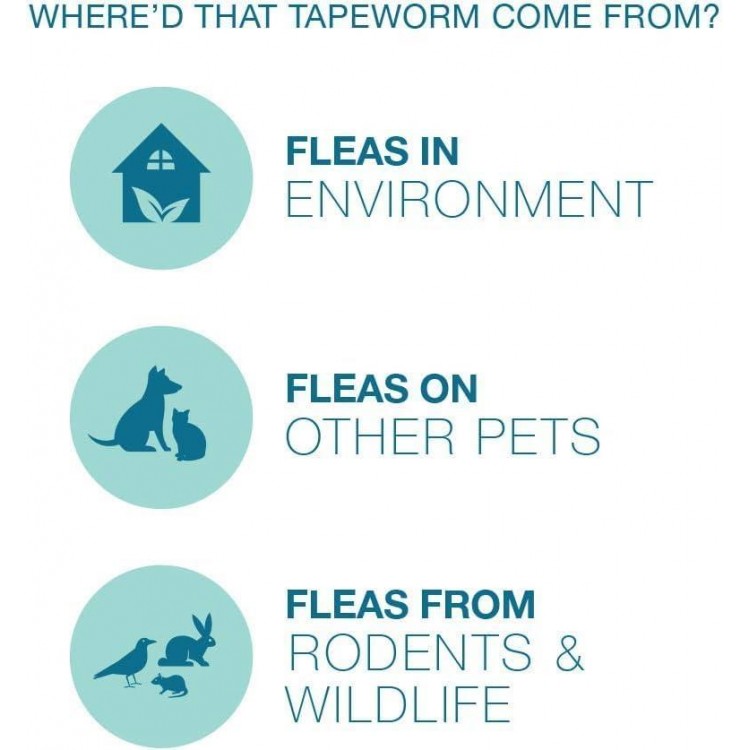 Tapeworm Dewormer for Cats and Kittens