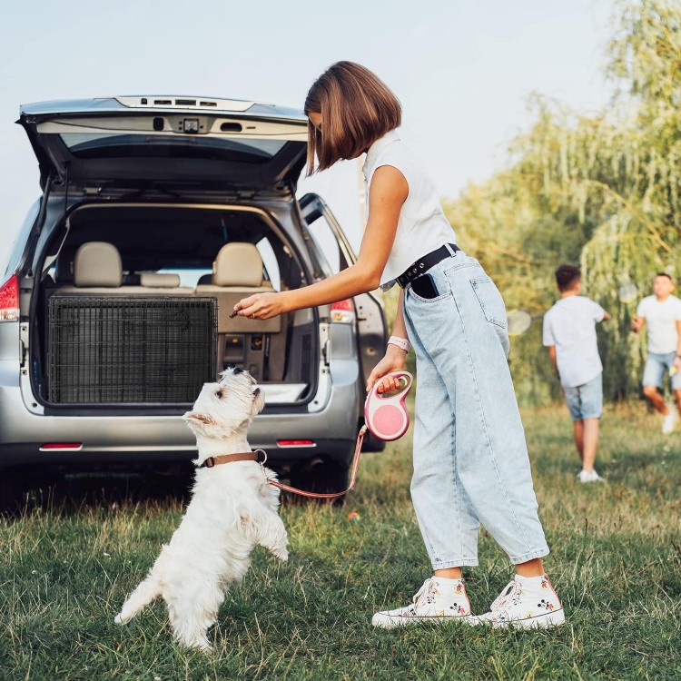 ZENY 30/36/42 Inch Dog Crate Double Door Folding Metal Dog or Pet Crate Kennel with Tray and Handle