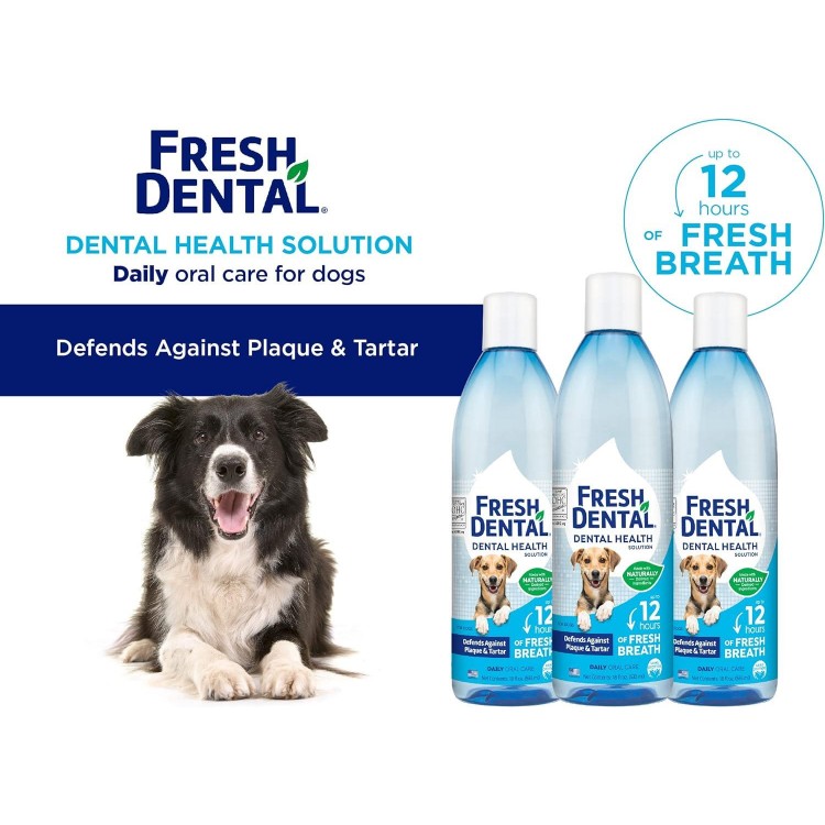 Naturel Promise Fresh Dental Water Additive - Dental Health Solution for Dogs - Easy to Use - Helps Clean Teeth - Freshens Breath Up to 12 Hours - No Brushing Required - 18 Fl Oz, 3 Pack