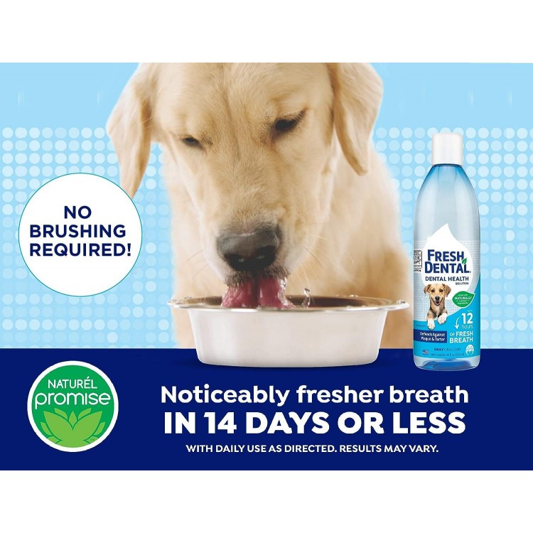 Naturel Promise Fresh Dental Water Additive - Dental Health Solution for Dogs - Easy to Use - Helps Clean Teeth - Freshens Breath Up to 12 Hours - No Brushing Required - 18 Fl Oz, 3 Pack