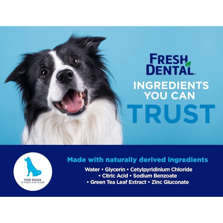 Naturel Promise Fresh Dental Water Additive - Dental Health Solution for Dogs - Easy to Use - Helps Clean Teeth - Freshens Breath Up to 12 Hours - No Brushing Required - 18 Fl Oz, 3 Pack