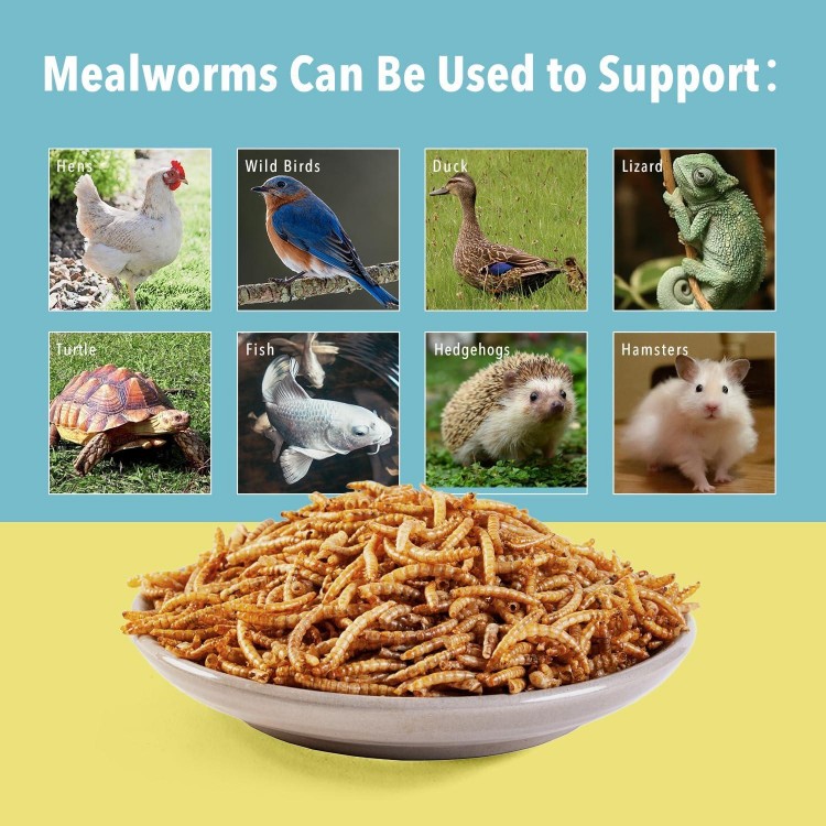 5lb Dried Mealworms for Birds,Chicken Treats for Laying hens,Feed for Blue Birds,Ducks,Fish,Turtles