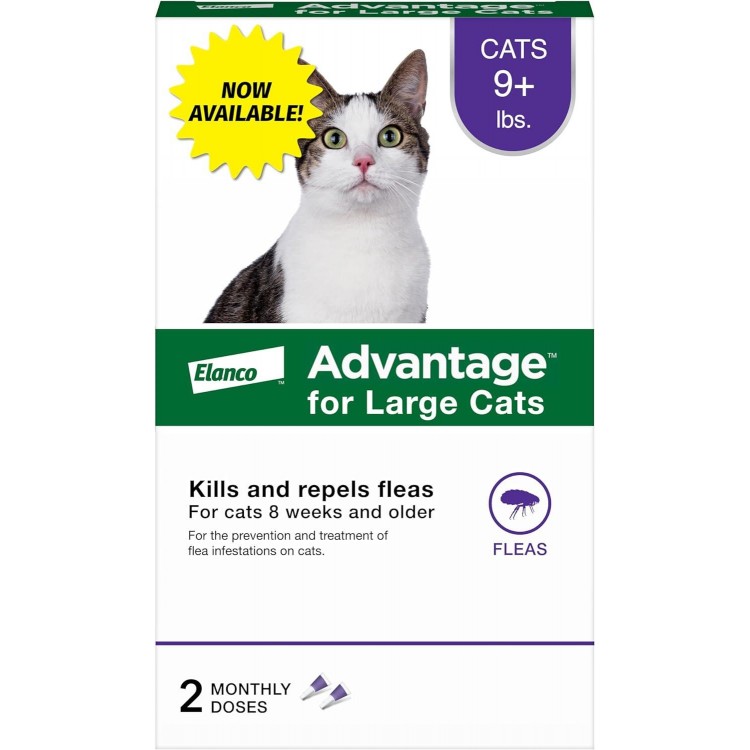 Advantage Topical Cat Flea Treatment and Prevention for Large Cats 9 lbs.+ | 2 Month Supply