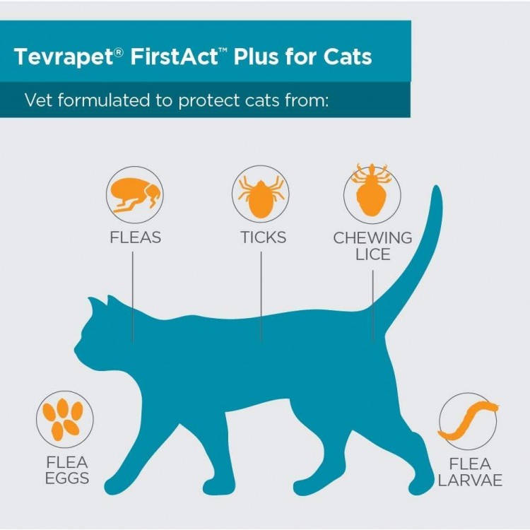 TevraPet FirstAct Plus Flea and Tick Topical for Cats over 1.5lbs, 3 Dose Waterproof Flea and Tick Control/Prevention for 3 Months