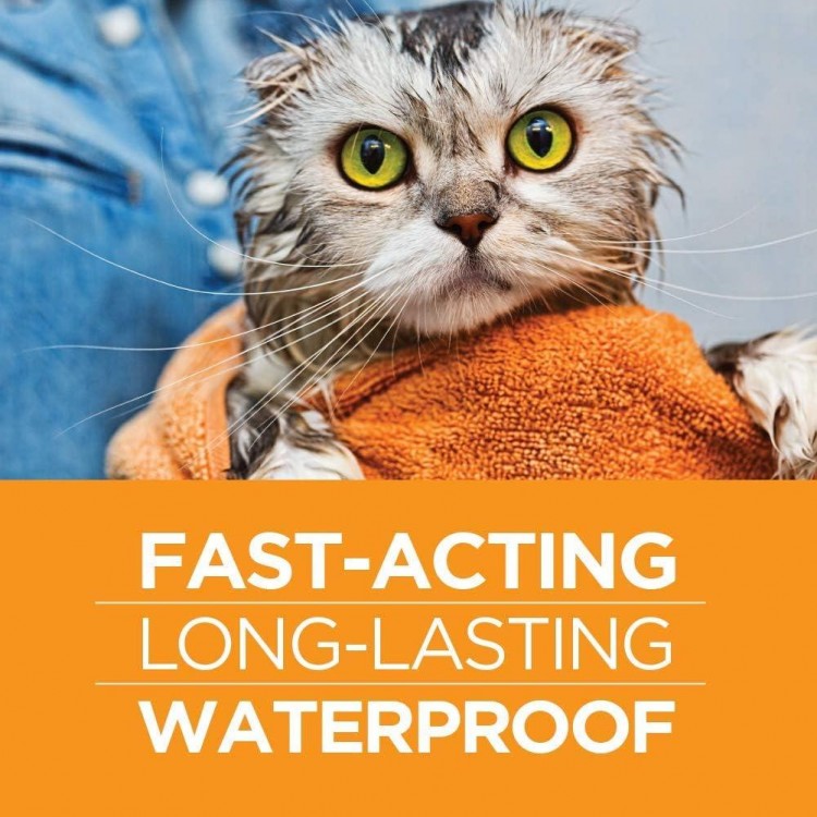 TevraPet FirstAct Plus Flea and Tick Topical for Cats over 1.5lbs, 3 Dose Waterproof Flea and Tick Control/Prevention for 3 Months