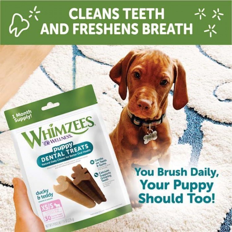 WHIMZEES by Wellness Puppy Natural Dental Chews for Dogs, Long Lasting Treats, Grain-Free, Freshens Breath, Extra Small/Small Breed, 30 count , 7.90 Ounce (Pack of 1)