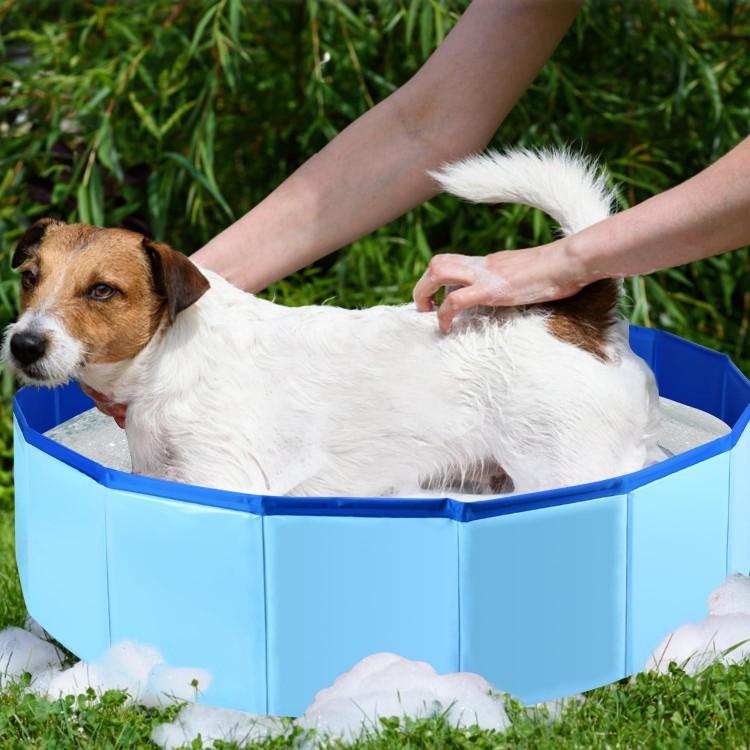 Folding Dog Pool, Portable PVC Swimming Pool 24 x 8 Inch Folding Dog Cat Bath Tub Indoor Collapsible Ball Pit for Puppies (Blue)