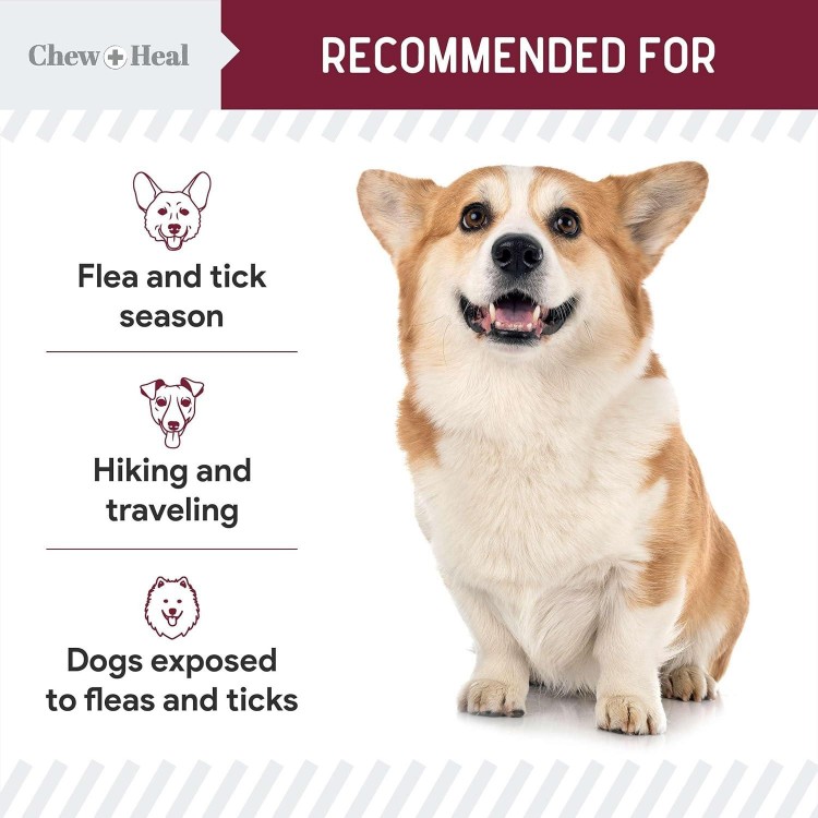 Chewable Flea and Tick Prevention for Dogs - 180 Soft Chews - Natural Defense, Made in USA - Small & Large Dogs - Gluten-Free, GMO-Free, Corn-Free