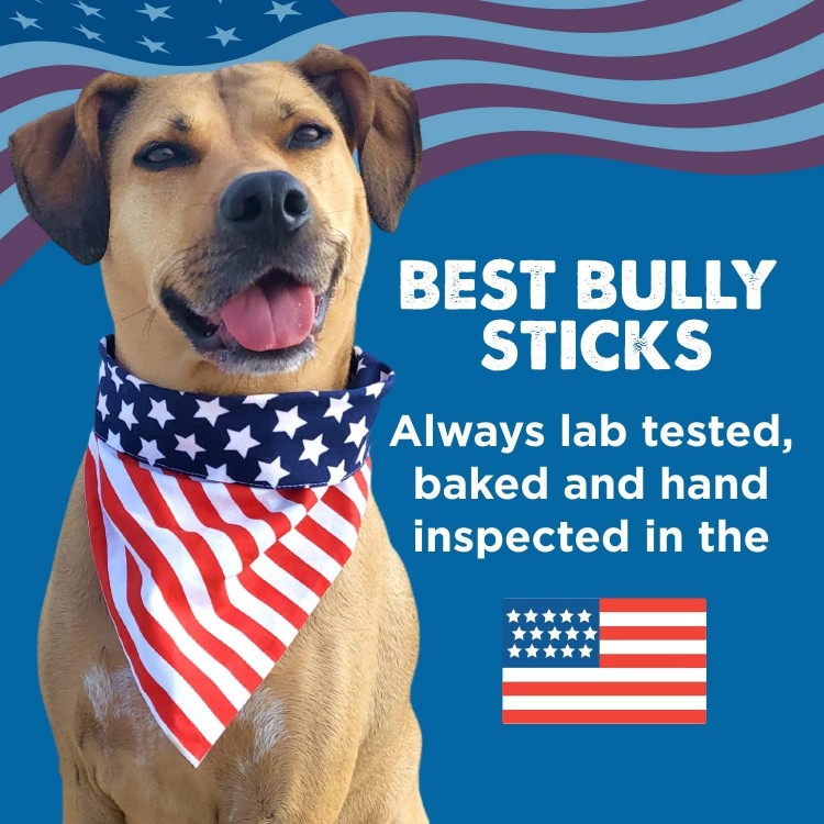 Best Bully Sticks All Natural USA Baked & Packed Pig Ears for Dogs - Single Ingredient Highly Digestible 100% Pork Dog Chew Treats - Great for Puppies, Small, Medium, and Large Dogs - 25 Pack