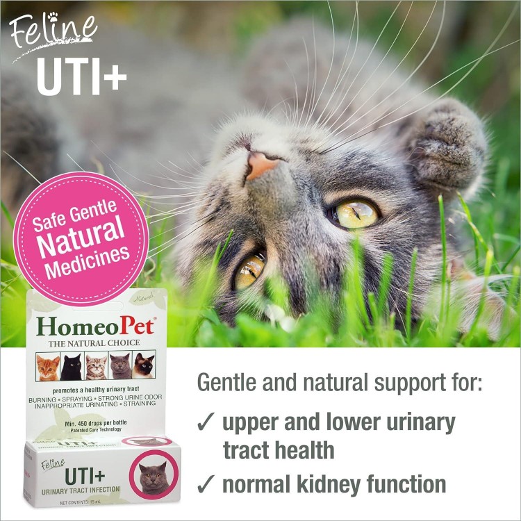 HomeoPet Feline UTI Plus Urinary-Tract Relief, Urinary-Tract Support for Cats, 15 Milliliters