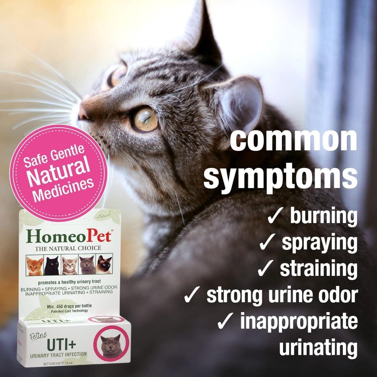 HomeoPet Feline UTI Plus Urinary-Tract Relief, Urinary-Tract Support for Cats, 15 Milliliters