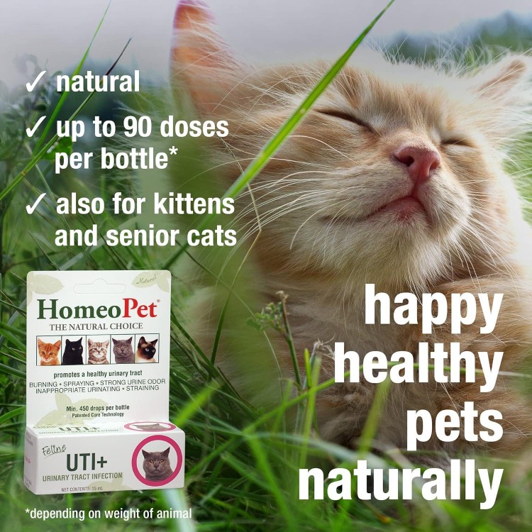 HomeoPet Feline UTI Plus Urinary-Tract Relief, Urinary-Tract Support for Cats, 15 Milliliters