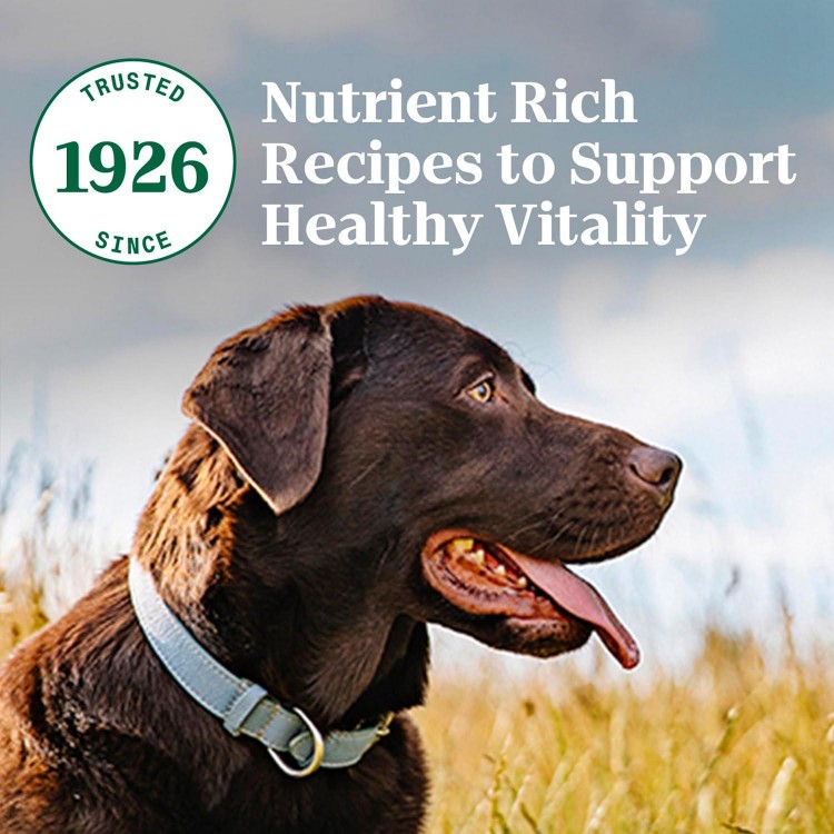 Nutro Natural Choice Adult Dry Dog Food, Lamb and Brown Rice Recipe, 5 lbs.