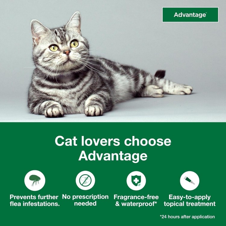 Advantage Topical Cat Flea Treatment and Prevention for Small Cats 2-9 lbs. | 2 Month Supply