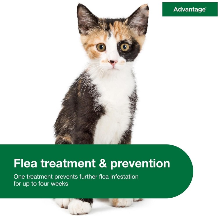 Advantage Topical Cat Flea Treatment and Prevention for Small Cats 2-9 lbs. | 2 Month Supply