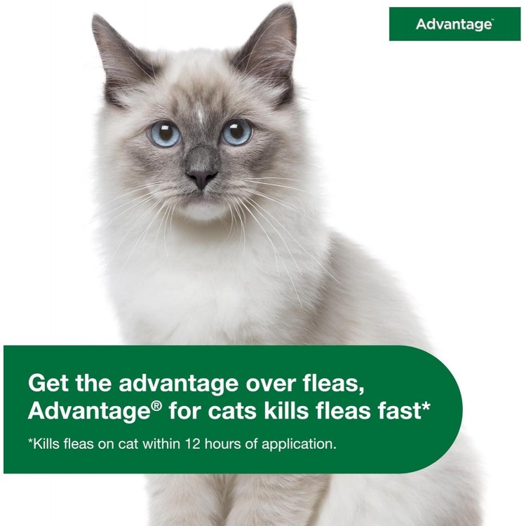 Advantage Topical Cat Flea Treatment and Prevention for Small Cats 2-9 lbs. | 2 Month Supply