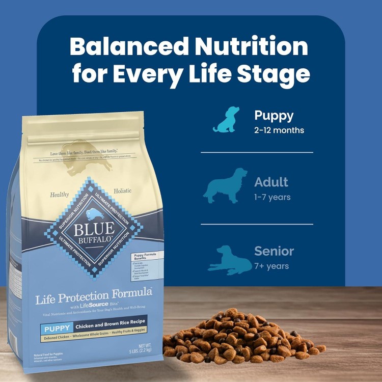 Blue Buffalo Life Protection Formula Puppy Dry Dog Food with DHA and ARA, Made with Natural Ingredients, Chicken & Brown Rice Recipe, 5-lb. Bag