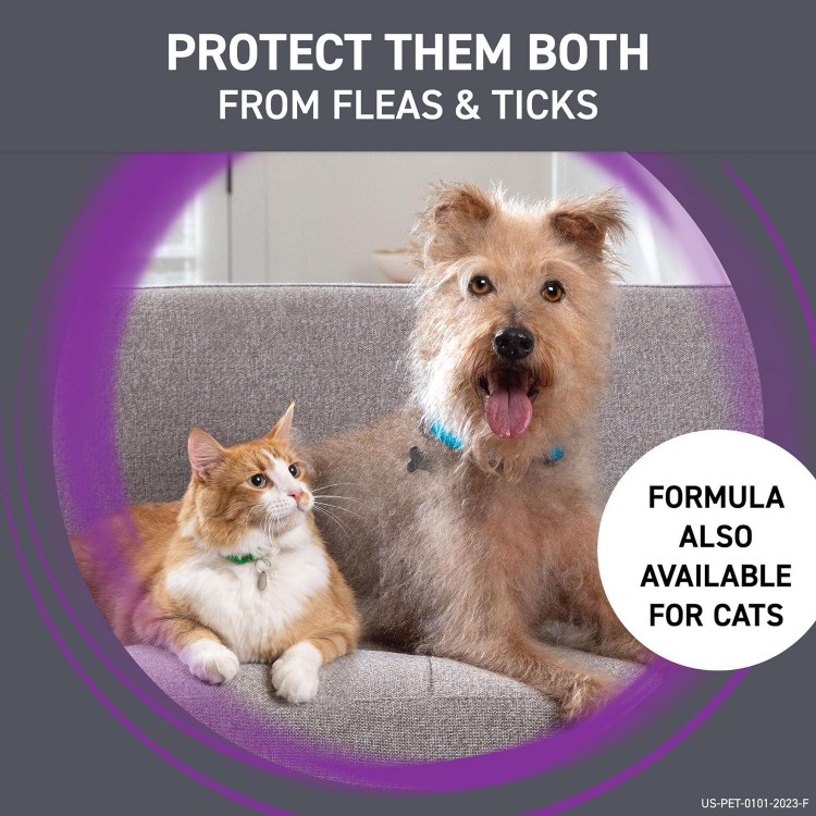 FRONTLINE Plus Flea and Tick Treatment for Small Dogs Upto 5 to 22 lbs., 3 Treatments