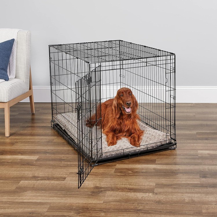 MidWest Homes for Pets Newly Enhanced Single Door iCrate Dog Crate, Includes Leak-Proof Pan, Floor Protecting Feet, Divider Panel & New Patented Features