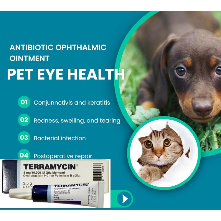 Otto Tech Pet Eye Health Ointment for Dogs, Cats, Cattle, Sheep, Horse, Bird 1/8 oz /3.5gr - 1 tube