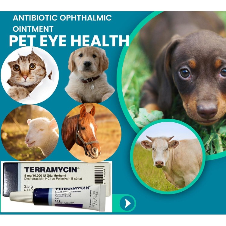 Otto Tech Pet Eye Health Ointment for Dogs, Cats, Cattle, Sheep, Horse, Bird 1/8 oz /3.5gr - 1 tube