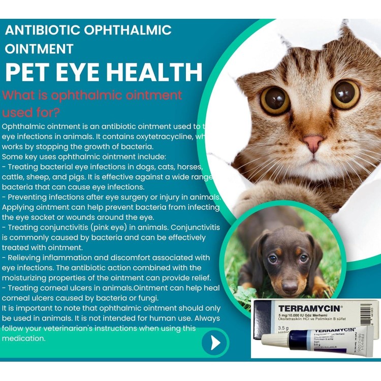 Otto Tech Pet Eye Health Ointment for Dogs, Cats, Cattle, Sheep, Horse, Bird 1/8 oz /3.5gr - 1 tube