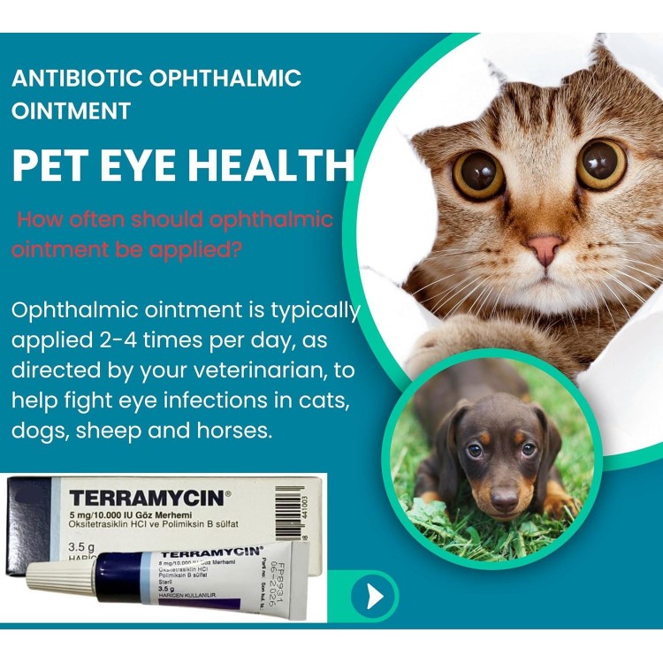 Otto Tech Pet Eye Health Ointment for Dogs, Cats, Cattle, Sheep, Horse, Bird 1/8 oz /3.5gr - 1 tube