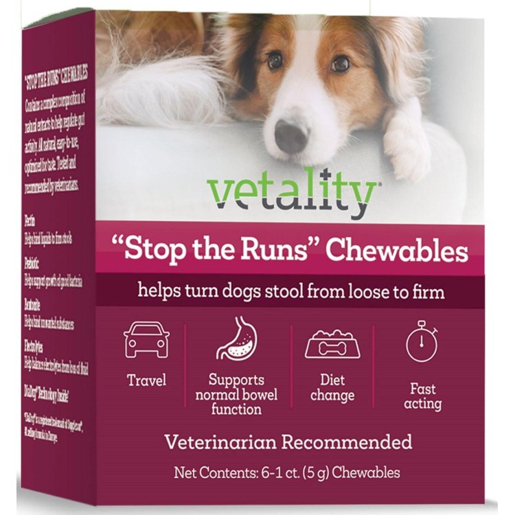 Stop The Runs | Anti Diarrhea Chewables | 6 Count