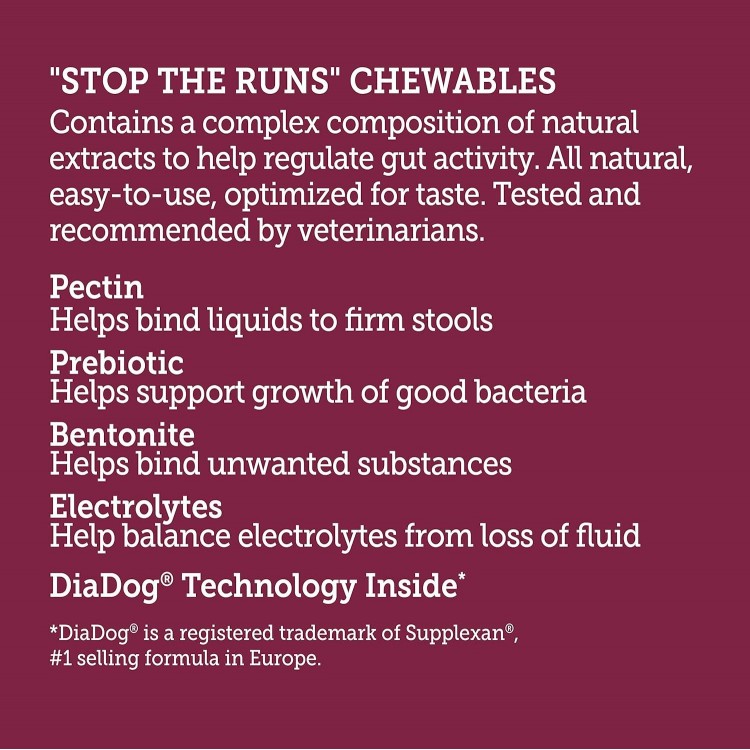 Stop The Runs | Anti Diarrhea Chewables | 6 Count