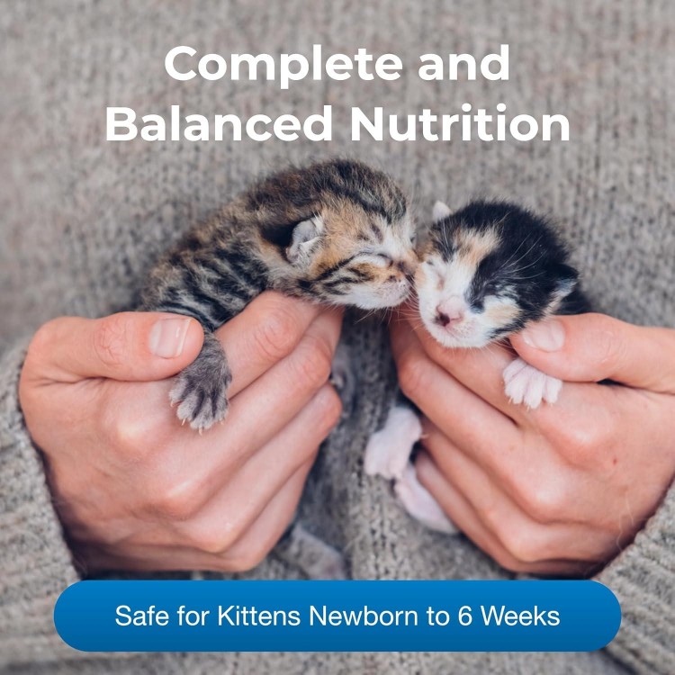 Pet-Ag KMR Kitten Milk Replacer Liquid - 11 oz, Pack of 4 - Ready-to-Feed Kitten Formula with Prebiotics, Probiotics & Vitamins for Kittens Newborn to Six Weeks Old - Easy to Digest