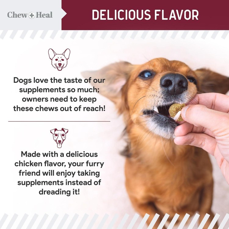 Chewable Flea and Tick Prevention for Dogs - 180 Delicious Soft Chews - Made in USA - Natural Defense for Small and Large Dogs - No Gluten, No GMO, No Corn