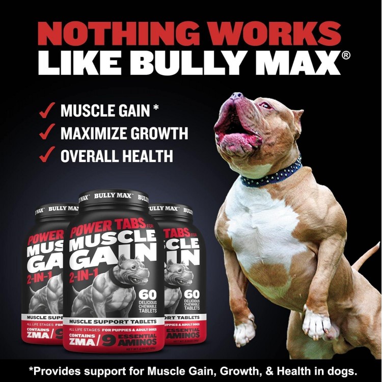 Bully Max 25/11 High Protein & Low Fat Dry Lamb Dog Food 5lbs. Bundle with Muscle Builder Power 60 Chewable Tabs for Puppies & Adult Dogs, All Breeds & Ages