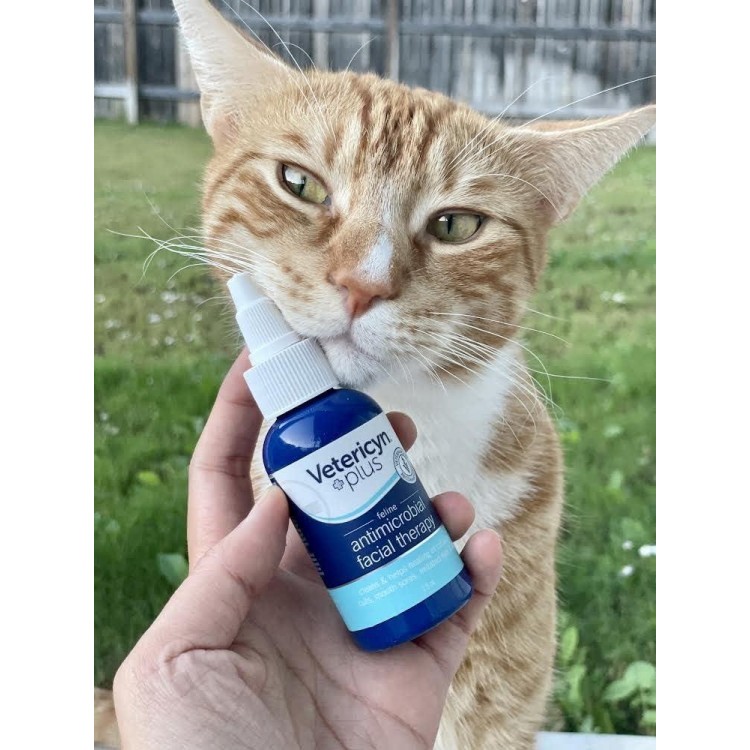 Vetericyn Plus Feline Facial Therapy | Healing Aid and Skin Repair for Different Cat First Aid Needs, Including Cat Acne, Cat Ear and Eye Problems. 2 Ounces