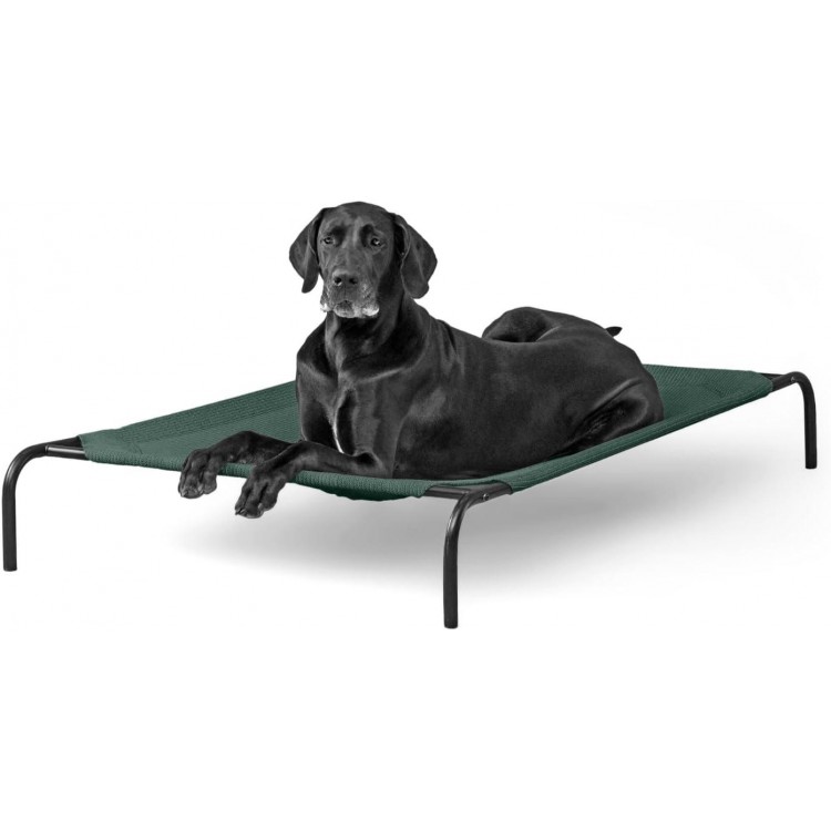 Coolaroo 474676 Original Elevated Pet Bed, Extra Large, Brunswick Green