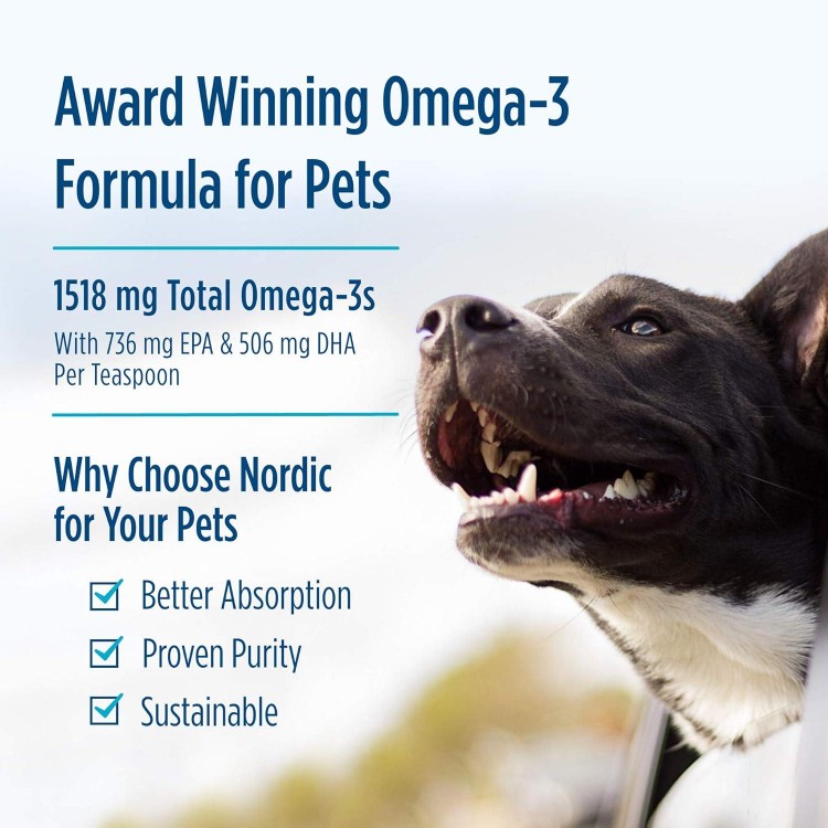 Nordic Naturals Omega-3 Pet, Unflavored - 16 oz - 1518 mg Omega-3 Per Teaspoon - Fish Oil for Large to Very Large Dogs with EPA & DHA - Promotes Heart, Skin, Coat, Joint, & Immune Health