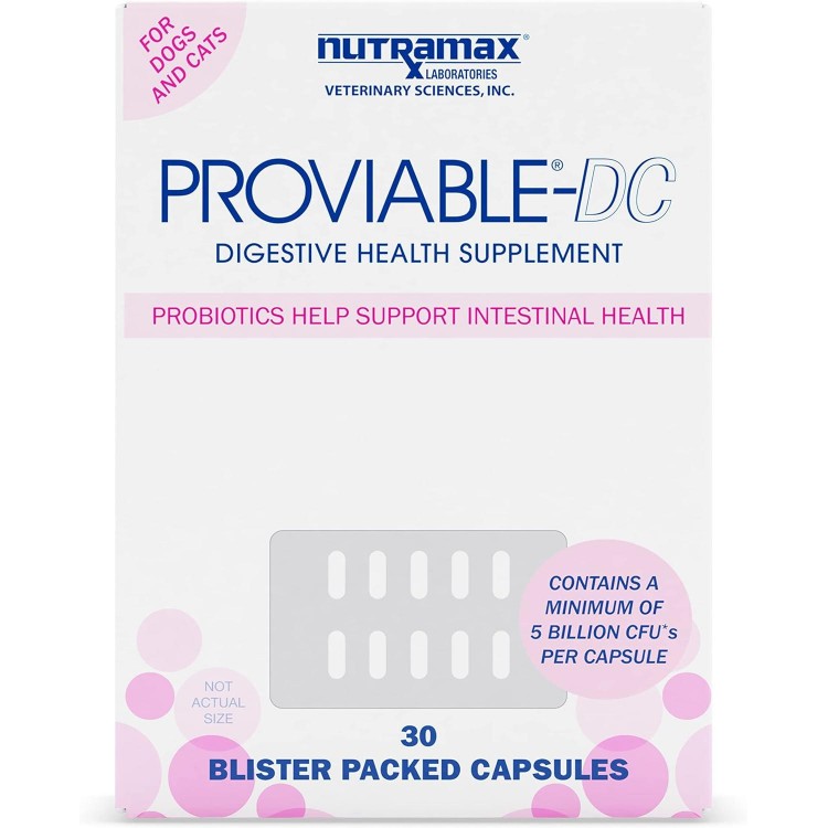 Proviable Digestive Health Supplement Multi-Strain Probiotics and Prebiotics for Cats and Dogs - With 7 Strains of Bacteria, 30 Capsules