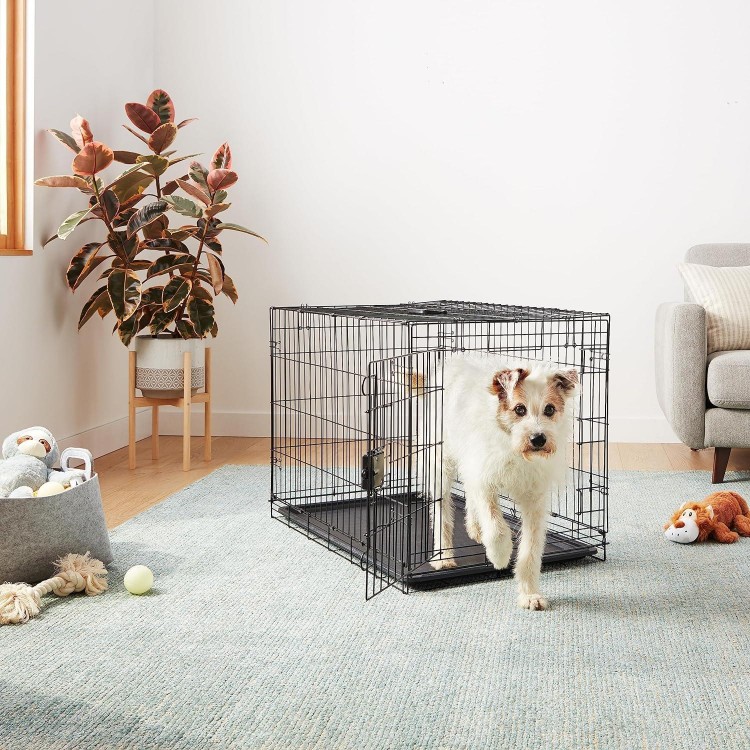 Amazon Basics - Durable, Foldable Metal Wire Dog Crate with Tray, Single Door, 36 x 23 x 25 Inches, Black