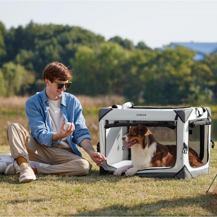 Lesure Collapsible Dog Crate - Portable Dog Travel Crate Kennel for Medium Dog, 4-Door Pet Crate with Durable Mesh Windows, Indoor & Outdoor (Light Gray)