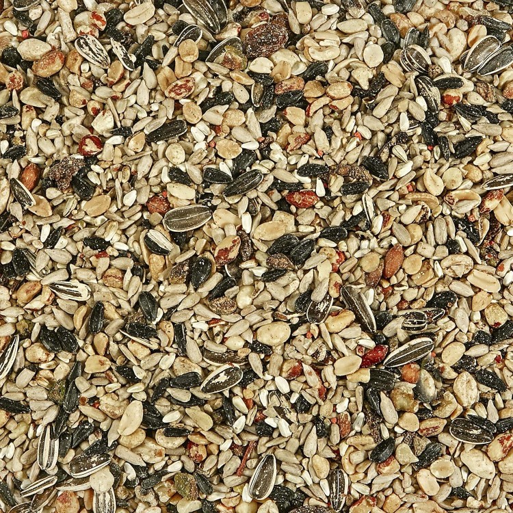 Kaytee Wild Bird Food Nut & Fruit Seed Blend For Cardinals, Chickadees, Nuthatches, Woodpeckers and Other Colorful Songbirds, 5 Pounds