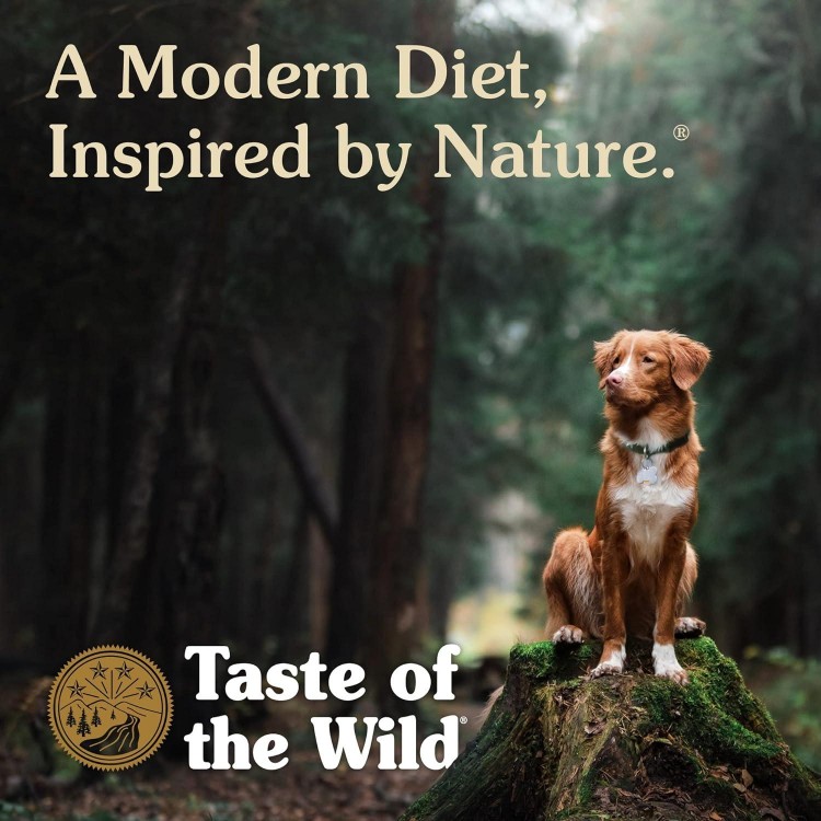 Taste of the Wild with Ancient Grains, Ancient Prairie Canine Recipe with Roasted Bison and Venison Dry Dog Food, Made with High Protein from Real Meat and Guaranteed Nutrients and Probiotics 5lb