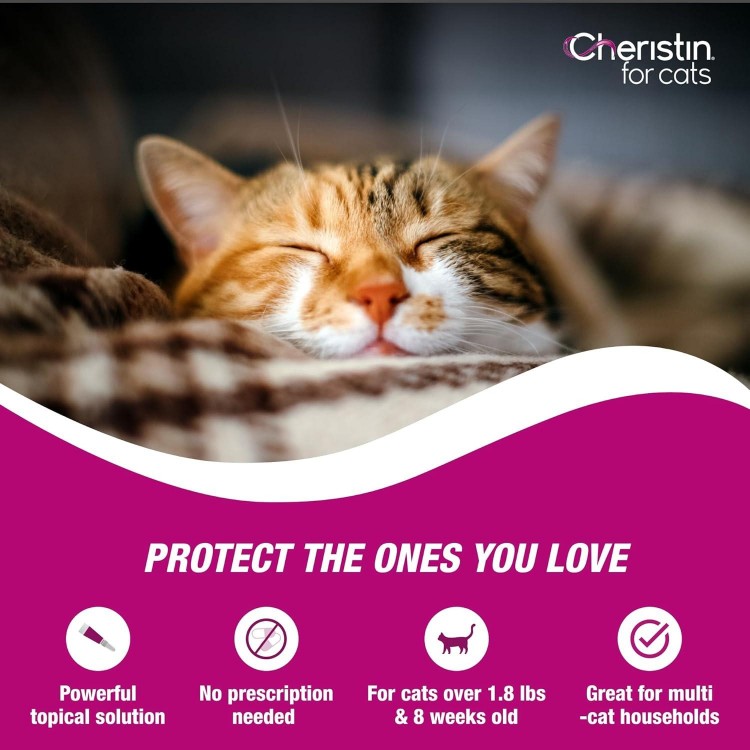 Cat Cheristin Cat Flea Treatment & Prevention for Cats | 1 Topical Dose Provides Up to 6 Weeks of Coverage | 3 ct.