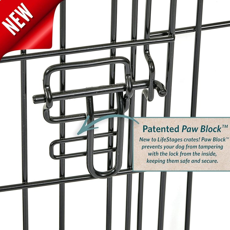 MidWest Homes for Pets Dog Crate | Newly Enhanced Life Stages XS Folding Metal Divider Panel, Floor Protecting Feet, Leak-Proof Pn 23L x 13.63W 16H inches, Breed.