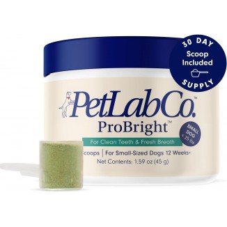 PetLab Co. ProBright Dental Powder - Dog Breath Freshener - Teeth Cleaning Made Easy – Targets Tartar & Bad Breath - Formulated for Small Dogs