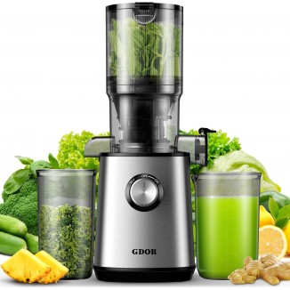 GDOR Cold Press Juicer with 4.25'' Feed Chute, Masticating Juicer Machines Fits Whole Fruits and Vegetables, Self Feeding Slow Juicer with Low Noise, Easy to Clean, Silver