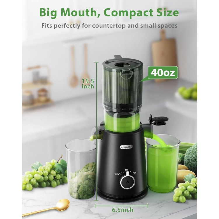 Juicer Machines, ECOSELF Cold Press Juicer with 4.35 Large Feed Chute Fit Whole Fruits and Vegetables, Easy to Clean, Masticating Juicer Self Feeding Effortless for Batch Juicing, High Juice Yield